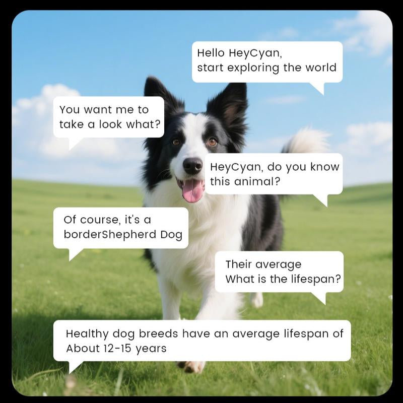 Evomi Touch-Control Smart Glasses with 800W HD Camera, Bluetooth Voice Communication, Dual Lenses, Surround Sound, and Smart Polarized Lenses for Daily Activities, Wearable Device in Black